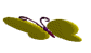 3d_butterfly.gif (6193 bytes)